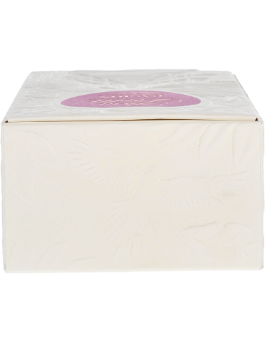 Pura Vida Pasion 38°