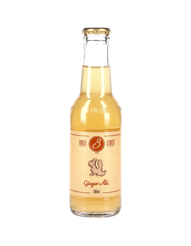Three Cents Soda Ginger Ale 24x20cl 4.8l