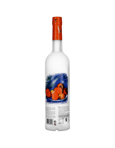 Grey Goose Vodka - Orange 40° 0.7l