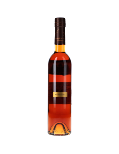 Armagnac Sempe Hors D'âge 40° 0.5l