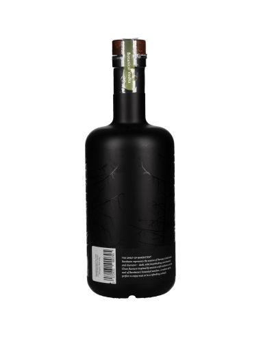 Bareksten Botanical Vodka 40° 0.7l