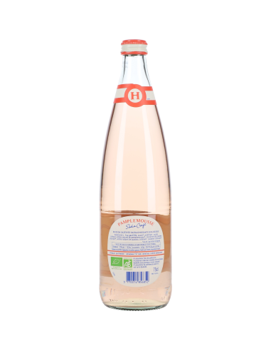 Hysope Soda Pamplemousse 6x75cl Bio...