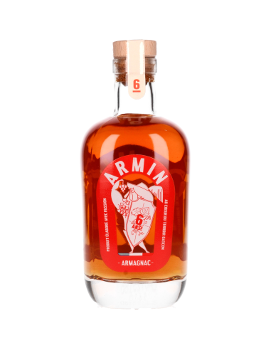 Bas-Armagnac Armin 6 Ans 40° 0.5l