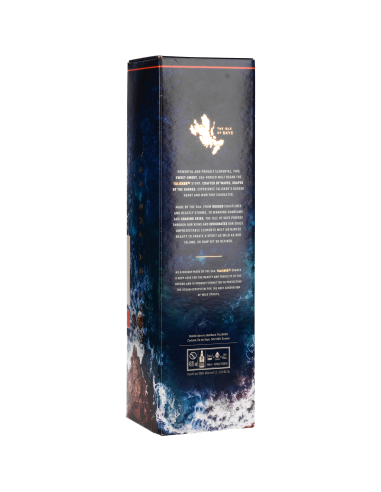 Talisker 10 Ans Scotch Whisky 45°80 0.7l