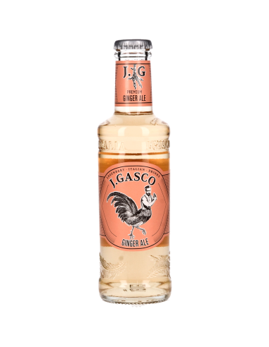J-Gasco Ginger Ale 24x20cl 4.8l