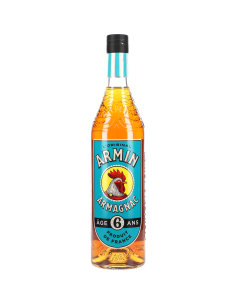 Armagnac Armin 6 Ans 40° 0.7l