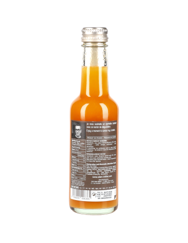 Nectar Abricot Bergeron 20x20cl 4l