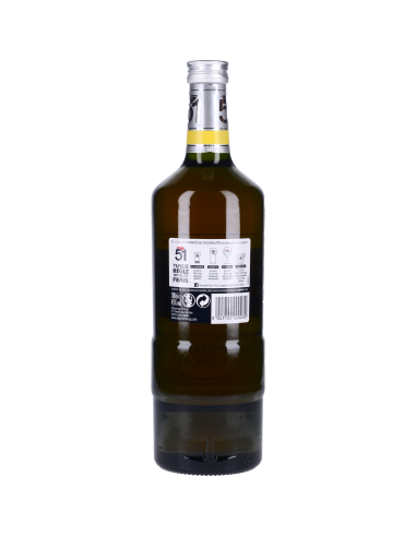 Pastis 51 45° 1l