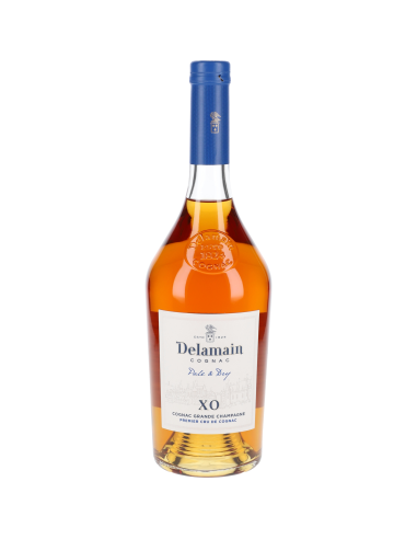 Delamain Cognac Pale & Dry Xo 42° 0.7l